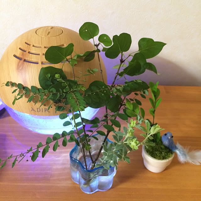yukaさんの実例写真