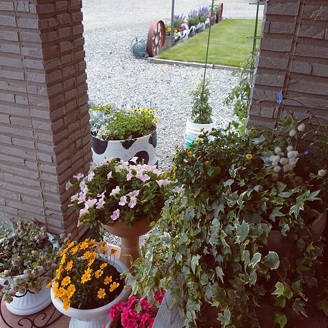 ree.yoshi-1001さんの部屋