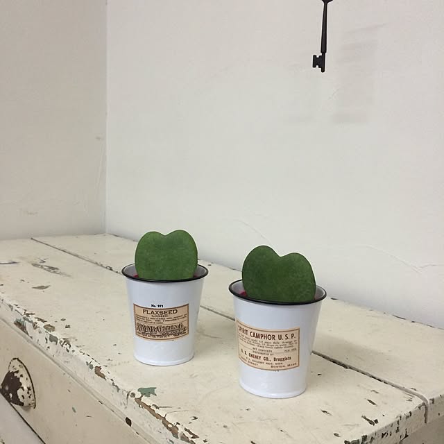 corinoさんの実例写真