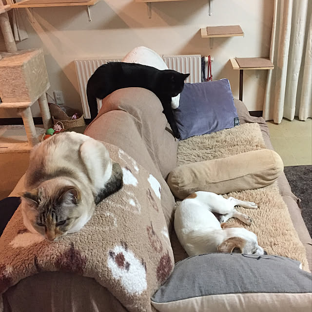 nanaさんの実例写真