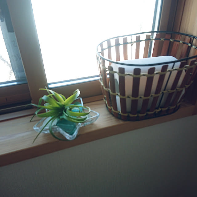 shimaさんの実例写真