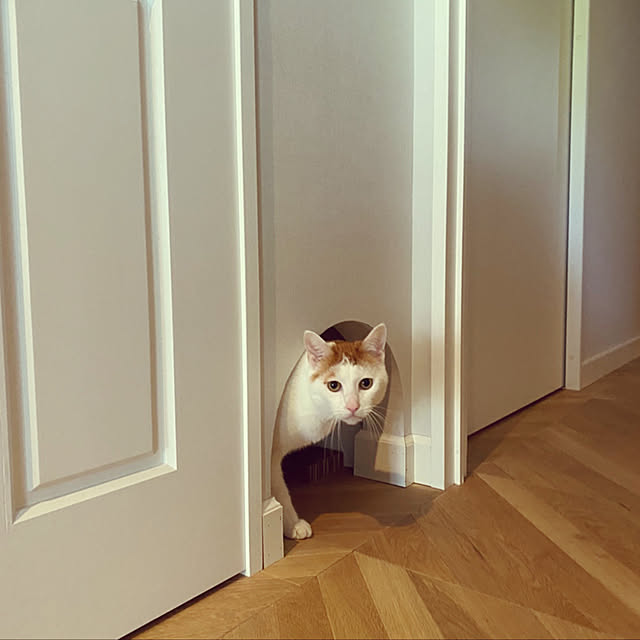 makiさんの実例写真