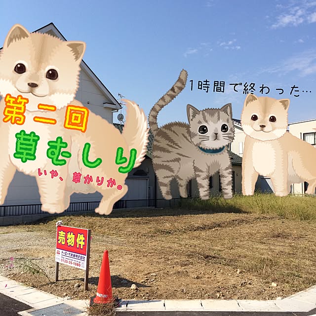 sallyさんの実例写真