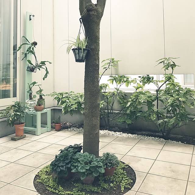 taguさんの実例写真