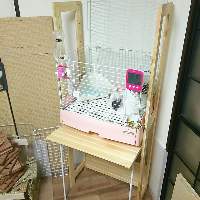 WASABIさんの実例写真