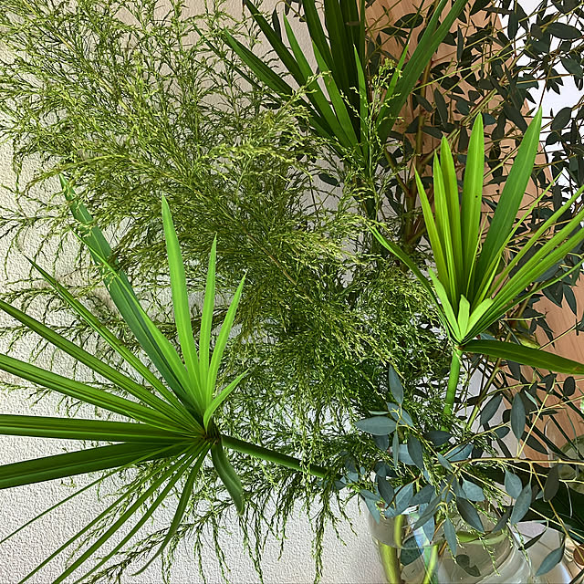 hira_muji_mihiさんの実例写真