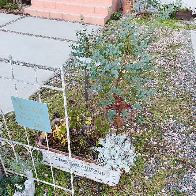 naosunnyさんの実例写真