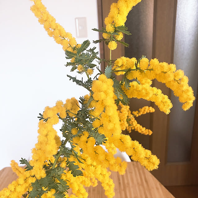 Tomさんの実例写真