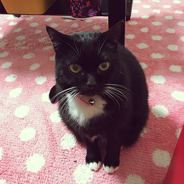 Hecacoさんの実例写真