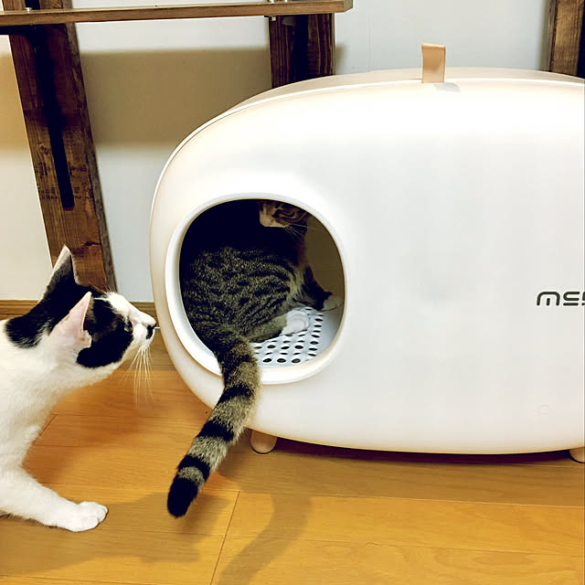 nobikoさんの実例写真