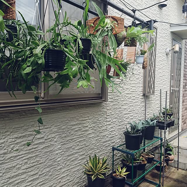 ot-gardenさんの部屋