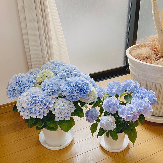 yukaさんの部屋