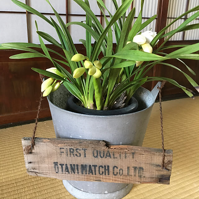 enoさんの実例写真