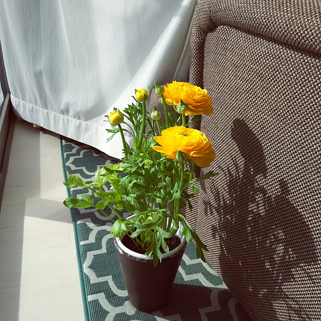 KOHAKUさんの実例写真