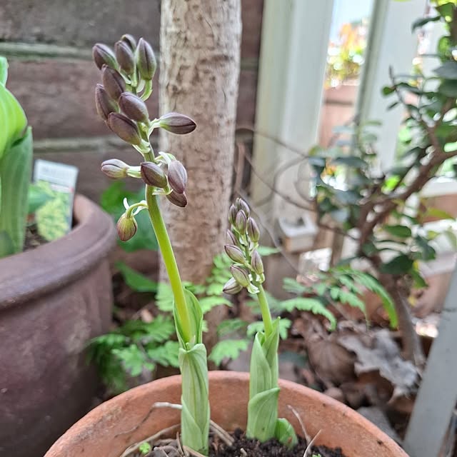 midoriさんの実例写真