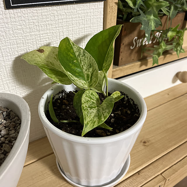 R.S.Kさんの実例写真