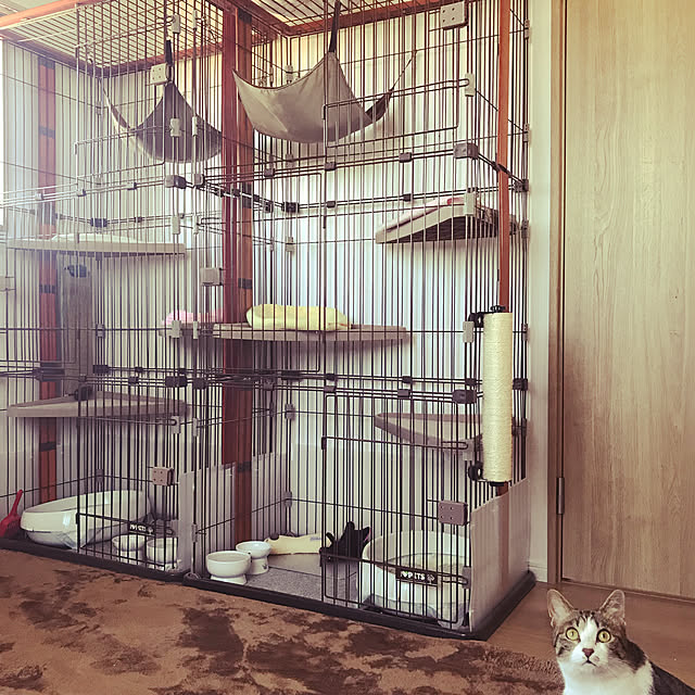 mpwさんの実例写真