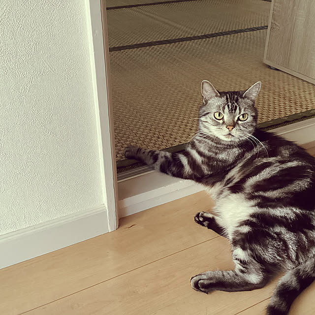 richanさんの部屋