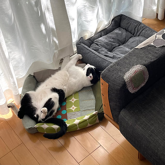 nobikoさんの部屋