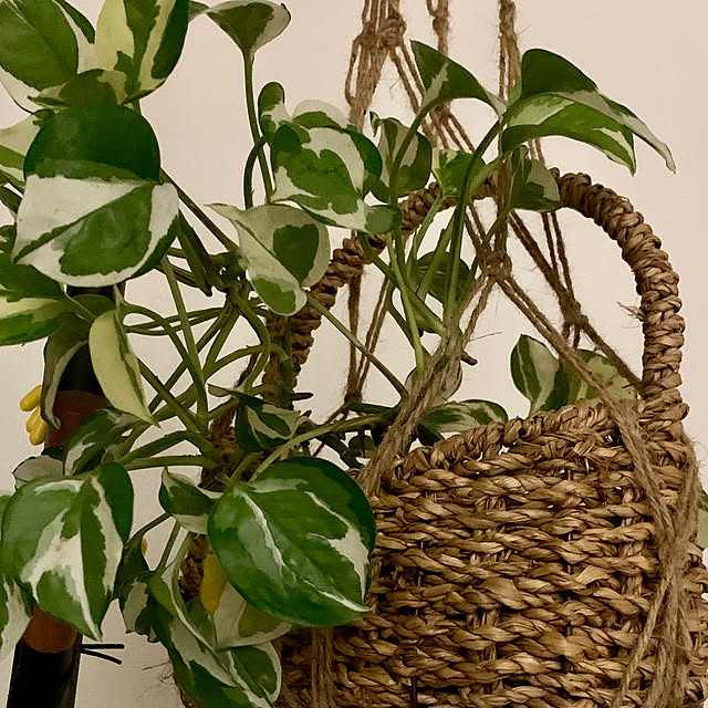 luluさんの部屋