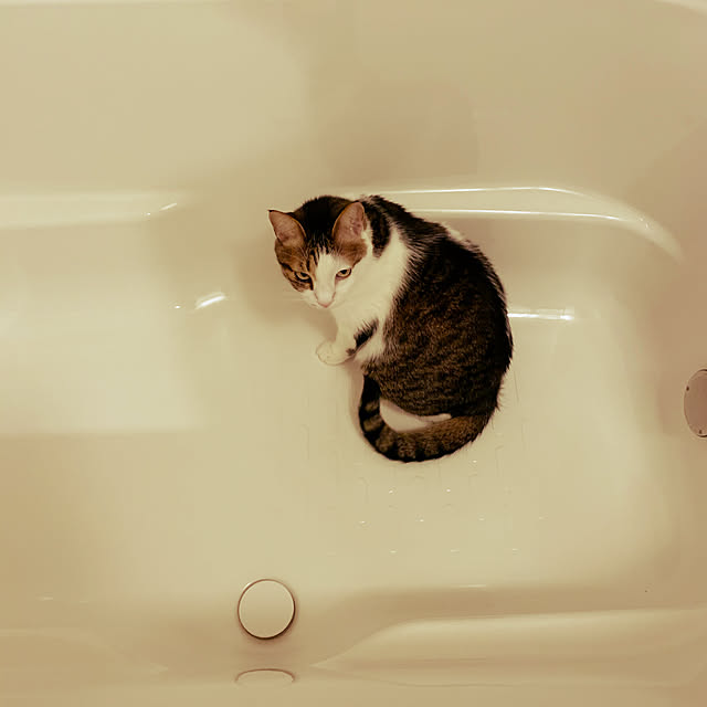 sachiさんの実例写真