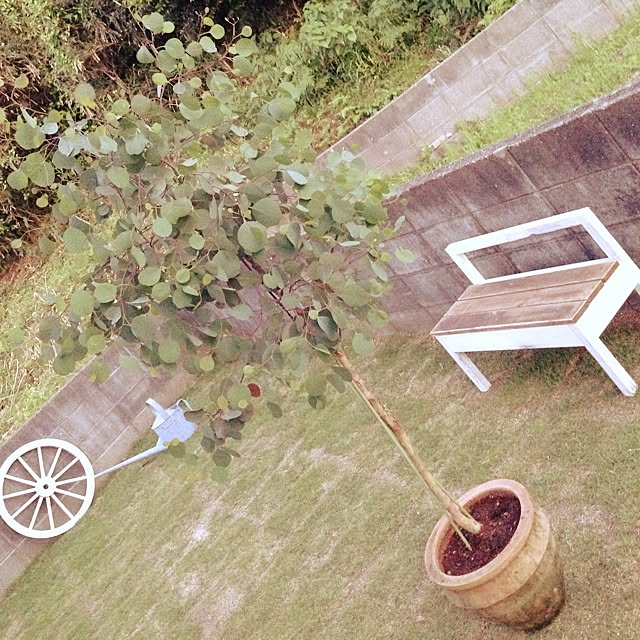 Atsu.さんの実例写真
