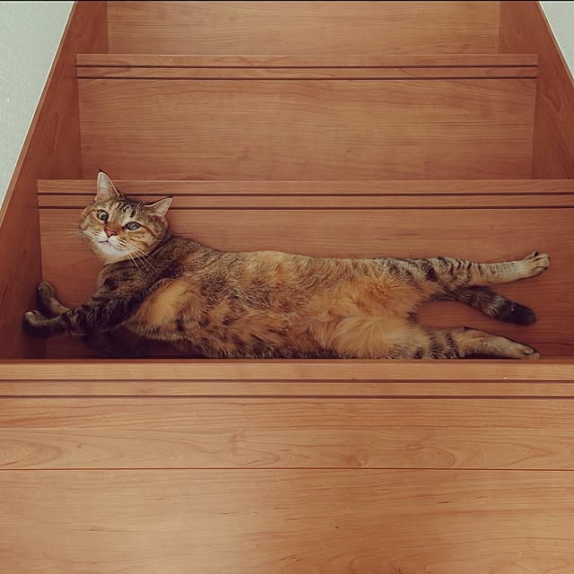 mochicoさんの実例写真