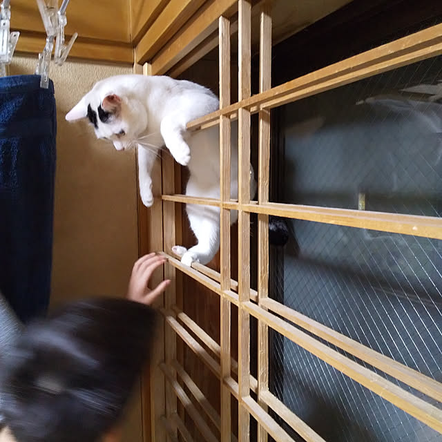 yukieさんの実例写真