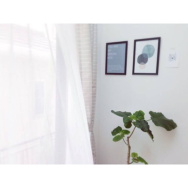 Megu5319さんの実例写真