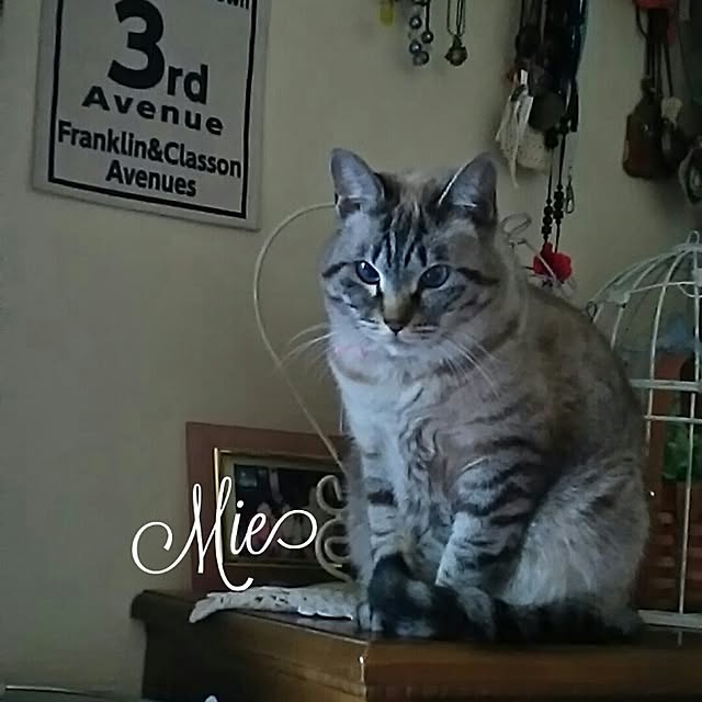 catriene0123さんの実例写真