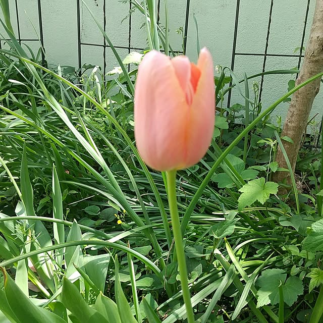 Rさんの部屋