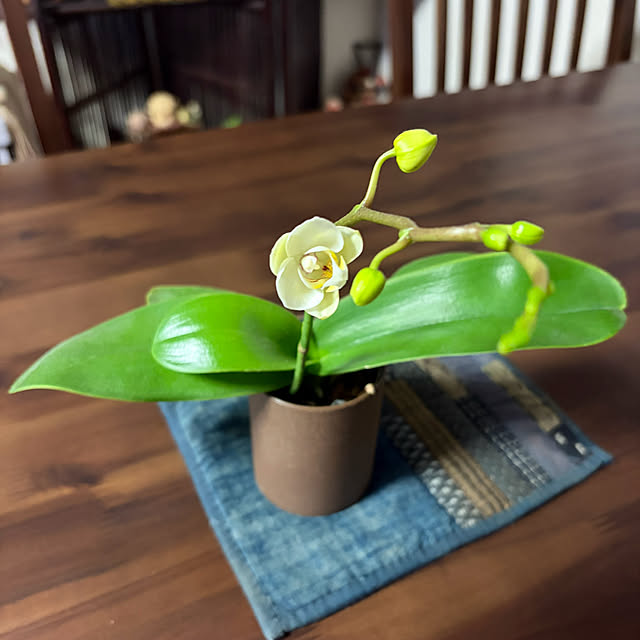 ritsukoさんの実例写真