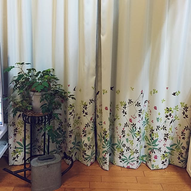 nico25さんの実例写真