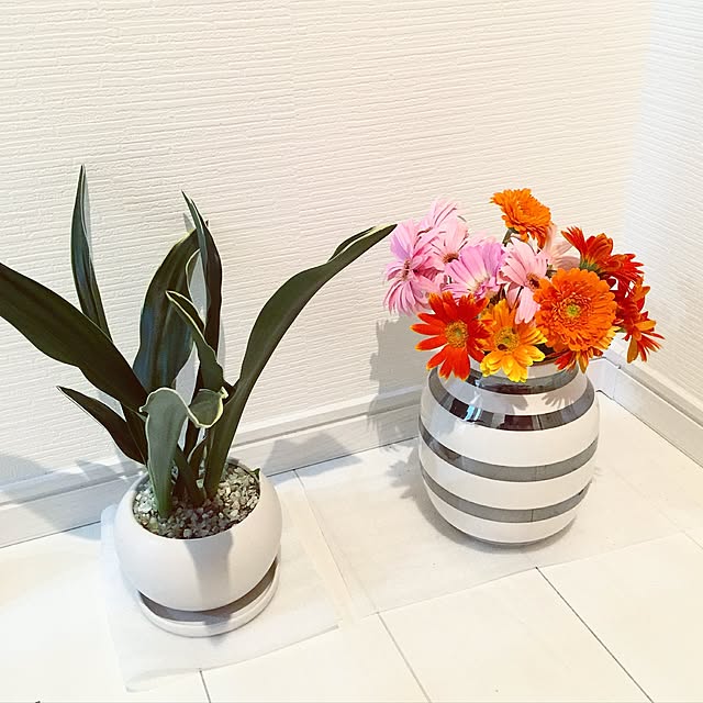 mykさんの実例写真
