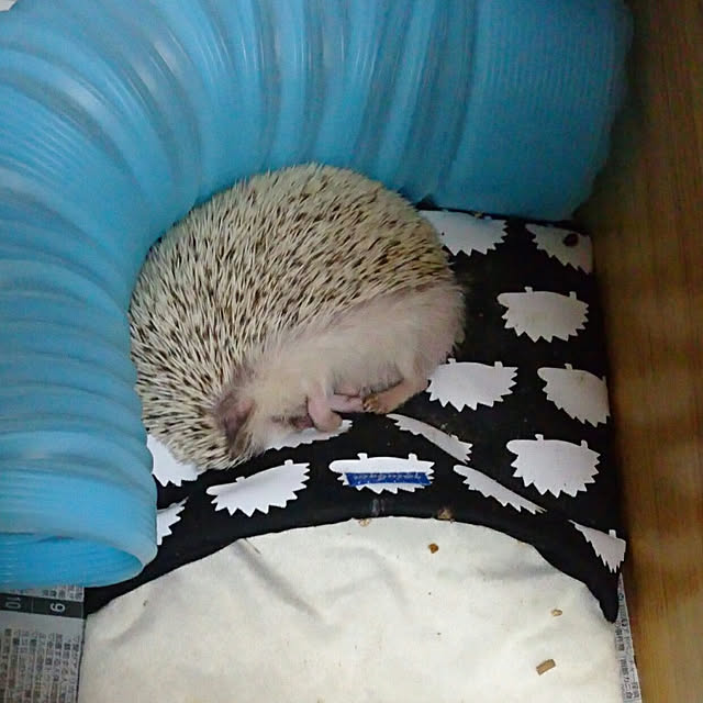 Reikomさんの実例写真