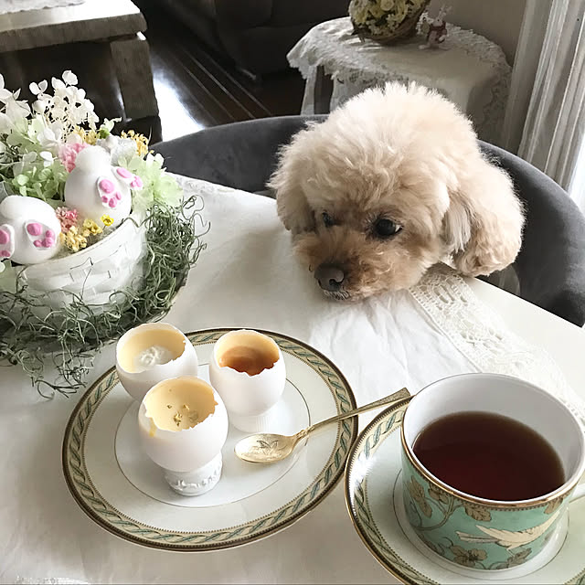 kazさんの実例写真