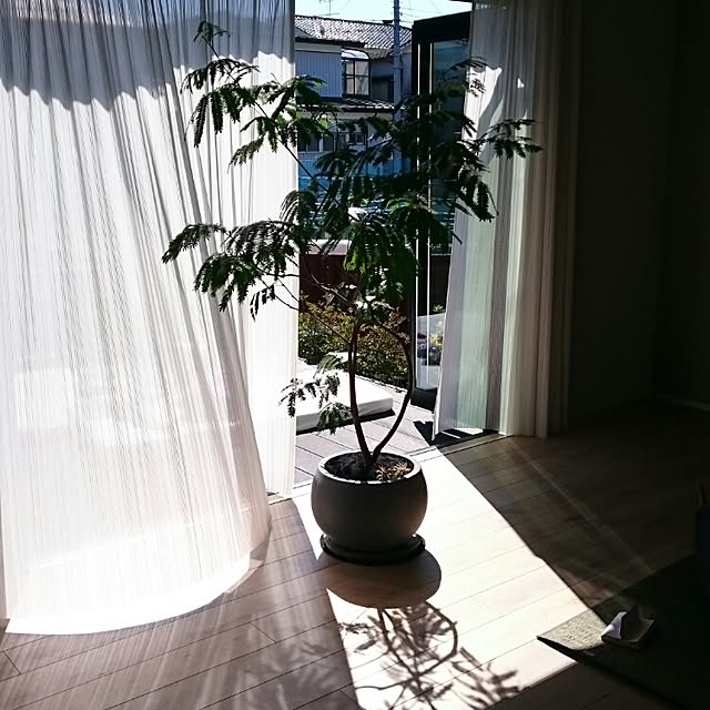 Nozomiさんの実例写真