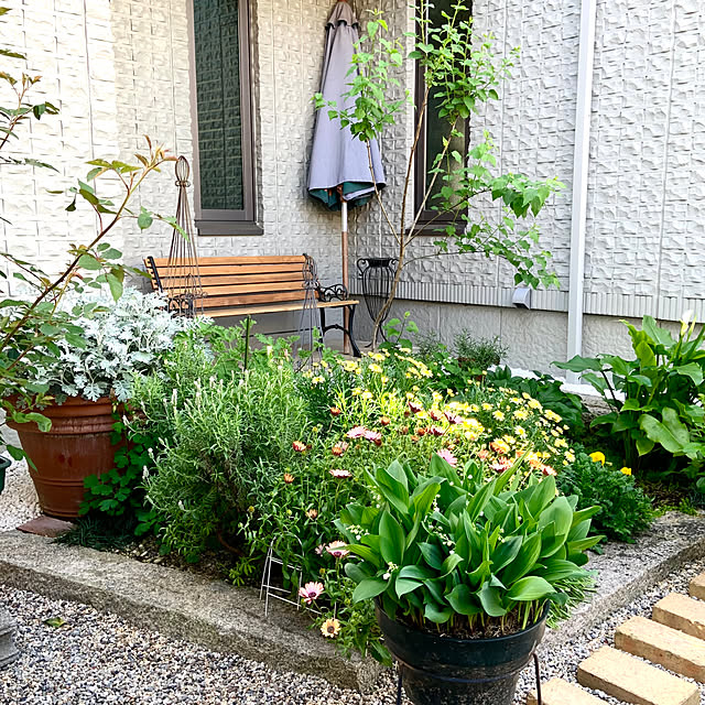 cocoさんの部屋