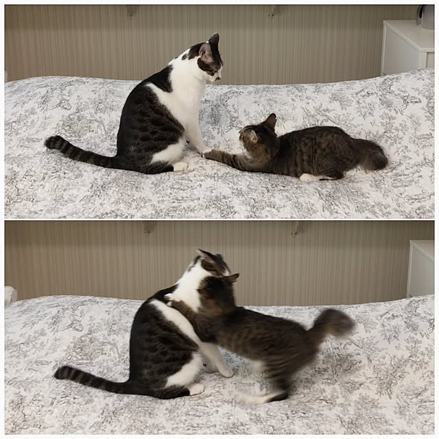 yuchiさんの実例写真