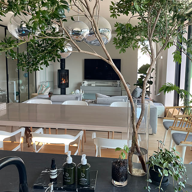 evolさんの実例写真