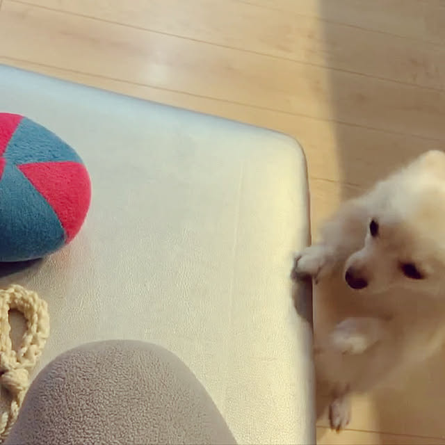 AKNさんの実例写真