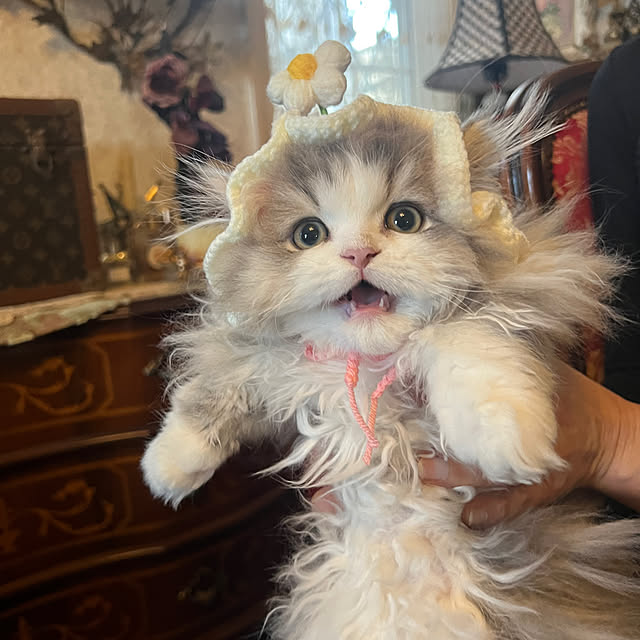 AYUKOさんの部屋