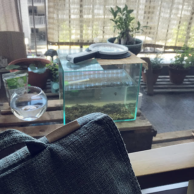 mi-saさんの実例写真