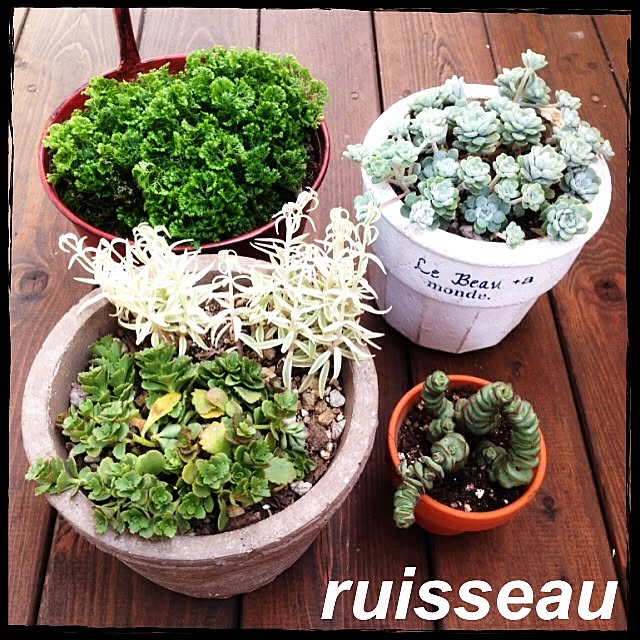 ruisseauさんの実例写真
