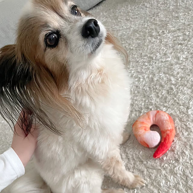 hiroさんの部屋