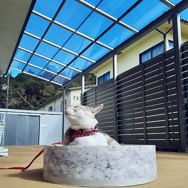 kohakuさんの実例写真