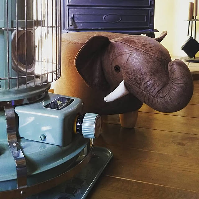 t.yumiさんの実例写真