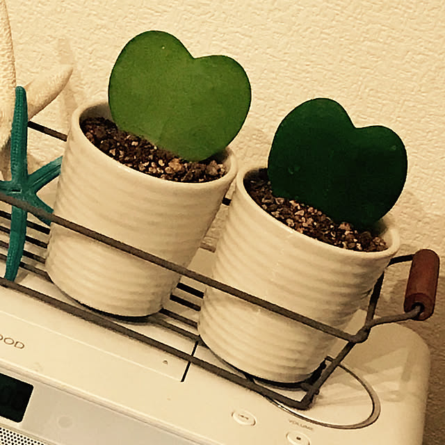 Sonokoさんの実例写真