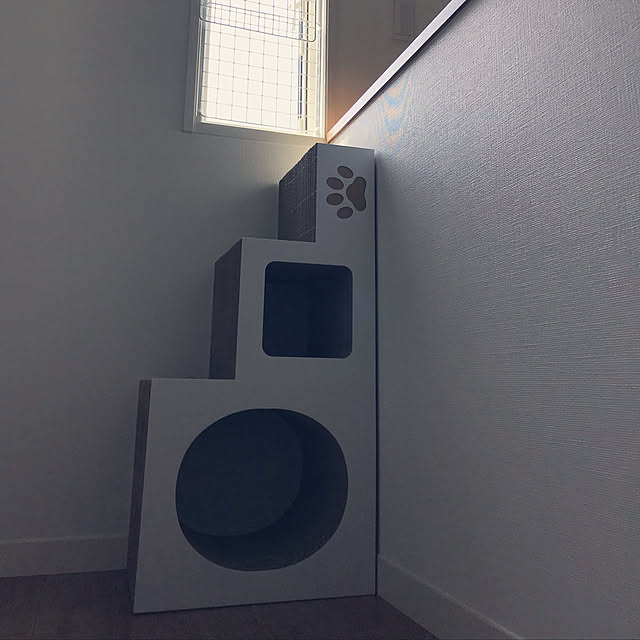 cassyさんの実例写真