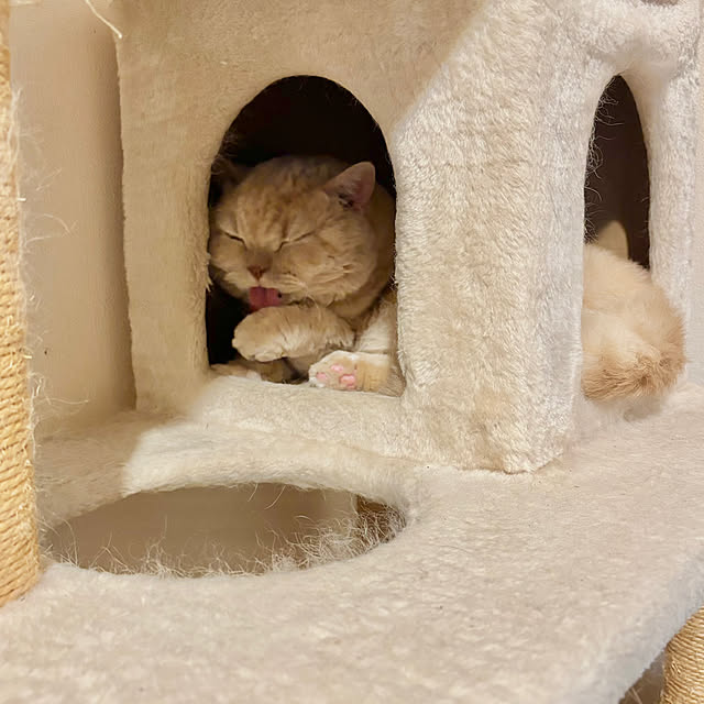 naokoさんの実例写真